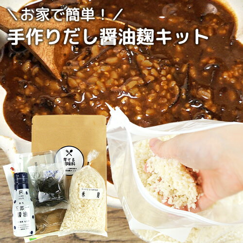 自分だけのオリジナル発酵調味料 育てる調味料・だし醤油麹キット(大分県産米/生米麹＆天然天日塩＆大分県産醤油＋保存袋セット) 万能調味料 手作りキット 時短調理 からだこころ健幸協会【送料込】