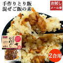 お試しメール便 懐かしい手作りの味 ばぁばぁのかしわ