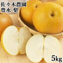 【予約販売】酸味と甘みのバランスがとれた濃厚な味わい 九重町産 梨 豊水(ほうすい) 5kg 大分県産 なし フルーツ 果実 国産 九州産 佐々木農園【送料込】