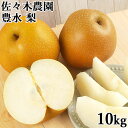 【予約販売 】酸味と甘みのバランスがとれた濃厚な味わい 九重町産 豊水(ほうすい) 10kg 大分県産 なし フルーツ 果実 国産 九州産 佐々木農園【送料込】