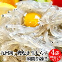 L㐅ň炷 Lmۂ̑NxQ炷Zbg 400g(100g~4) Ⓚ  Đ  OITA炷hoyomaruLmہyz