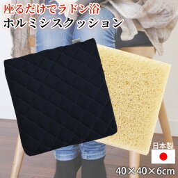 Wホルミシス効果がある健康クッション ホルミシスエアー すごいクッション 約40×40cm 厚さ6cm 完全日本製 日本イオン協会認定 マイナスイオン効果 遠赤外線効果 通気性抜群 綿100％ ラジウム 冷え 腰痛 くじめ屋