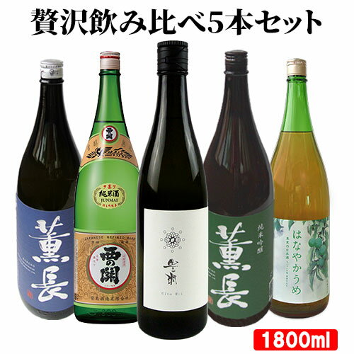 大分県産 大分の日本酒 オススメ5本 飲み比べセット(佐藤酒