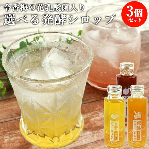 選べる 日田 発酵ジュースのもと 110ml～120ml×3本セット ＜ゆず/かぼす/すもも/うめ/赤紫蘇 の中から3つ＞ 希釈ドリンク シロップ 炭酸割り お湯割り 令香梅の花乳酸菌入り インパクト【送料込】