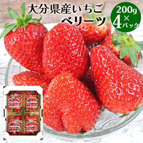 イチゴ農家産地直送 大分県産オリジナルいちご ベリーツ 200g×4パック(1箱) 完熟苺 減農薬 旬の果実 新品種 くだもの 青果 九州産 児玉いちご農園＜指定日不可＞【送料込】