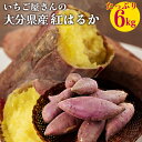 貯蔵熟成＆産地直送 大分県産さつまいも 紅はるか 6kg 貯蔵熟成サツマイモ しっとり甘い 甘藷 焼き芋 芋ご飯 スイーツ作り 旬の味覚 九州産 児玉いちご農園【送料込】