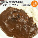 大分の老舗 欧風カレー専門店の味 うえのビーフカレー 900g(180g×5) 5食分 こってり濃厚 ルーとソースにこだわった 牛 5人前 カレー専門 カレーハウスうえの【送料込】