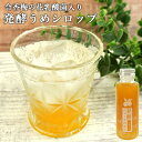 日田産南高梅を皮ごと発酵した 発酵ジュースのもと 日田うめ 110ml 3~4倍希釈 梅シロップ 炭酸割り お湯割り 令香梅の花乳酸菌入り インパクト