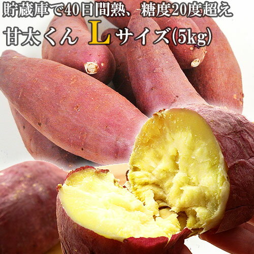 【季節限定】大分県産紅はるか使用 甘太くん Lサイズ 5kg 糖度20度以上 貯蔵庫で40日間熟成 かんしょ さつま芋 さつまいも 富美屋【送料込】