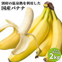 大分県産 栽培期間中農薬不使用 別府温泉バナナ サイズ不揃い 約2kg 国内産 フルーツ 産地直送 ご自宅用簡易包装 別府温泉フルーツファーム【送料込】