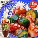 自宅で手軽に本格キムチ&韓国料理 まとめ買い 薬念(ヤンニョム) 200g×10個セット 韓国風万能みそ 旨辛生たれ キムチの素 保存料不使用 冷蔵 アリラン食...
