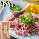 大分産赤じそと梅肉をたっぷり使用 梅じそ入り手延べ素麺 250g(50g×5) そーめん そうめん 常温保存 梅紫蘇 植木農園 湯布院おいしい堂