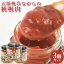 合成保存料 合成着色料は不使用 純梅肉 100g×3 日田市 大山町 大分県 ペースト 梅料理 梅だれ ながお梅園【送料込】