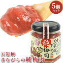 合成保存料 合成着色料は不使用 純梅肉 100g×5 日田市 大山町 大分県 ペースト 梅料理 梅だれ ながお梅園【送料込】