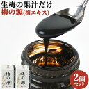 添加物不使用 豊後大山産100%使用 梅の源 梅エキス 40g×2 日田 大山町 大分県 うめ 梅肉エキス 液状 ながお梅園【送料込】