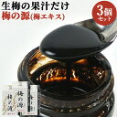 添加物不使用 豊後大山産100%使用 梅の源 梅エキス 40g×3 日田 大山町 大分県 うめ 梅肉エキス 液状 ながお梅園【送料込】