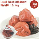 合成保存料・合成着色料不使用 南高梅干し 90g×5 おにぎり お弁当 しそ漬け 日田市 大山町 大分県 うめぼし なんこう ながお梅園【送料込】