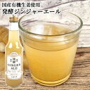 【訳あり】国産有機生姜&素材使用 生姜百景 発酵ジンジャーエール 250ml 甘さ控えめ 有機砂糖 有機れもん 有機みかん オーガニック 微炭酸飲料 後藤製菓