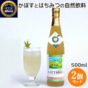 大分県産カボスとはちみつの自然飲料 かぼす村から 5倍希釈 500ml×2個セット 天然果汁 濃縮果汁 ジュース ゼリーやシャーベット 日本酒・焼酎にも お取り寄せ 蔵工房 二反田醤油店 【送料込】