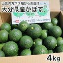 大分県産 かぼす 大分1号(種あり) 青果 4kg 季節限定 グリーン...(4)