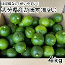 大分県産 かぼす 祖母の香 (種なし) 青果 4kg 季節限定 グリー...(4)