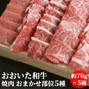 おおいた和牛 お試し 食べ比べ 焼肉5種(約70g×5P)セット 1〜2人前 おまかせ部位 大分県産牛肉 黒毛和牛 A4等級以上 真空密着包装 小分け 焼き肉 ...