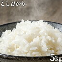 令和7年度産新米 コシヒカリ(精米)5kg 山香米 こしひかり 有機質肥料使用 杵築市山香町 ベストファーマー認定 色彩選別機導入 山香ゆうきの会【送料込】