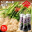 本醸造九州醤油使用 九州福岡の伝統料理 もつ鍋の素(しょうゆ味) 5倍希釈 200ml(約4~5人前)×3本セット..