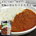 大分県産 肉質A4ランク以上の豊後牛を使用 おおいた和牛スパイスカレー 180g 国産 黒毛和牛 レトルトカレー 辛口 レンジ対応 お取り寄せ ご褒美 鉄板ka...