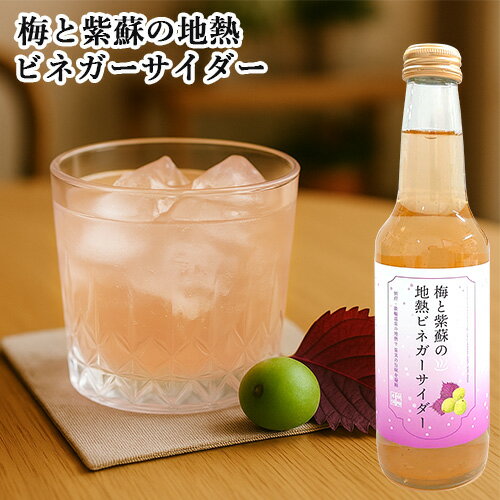 香り立つ果実酢 梅と紫蘇の地熱ビネガーサイダー 250ml 地獄蒸しを活用したビネガー×炭酸水 ジュース アップサイクル リ・ボーン[鉄輪本舗]