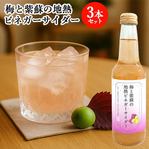 香り立つ果実酢 梅と紫蘇の地熱ビネガーサイダー 250ml×3個セット 地獄蒸しを活用したビネガー×炭酸水 ジュース アップサイクル リ・ボーン[鉄輪本舗]【送料込】