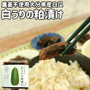 ご飯のお供に 白うりの粕漬け 1枚(250g前後) 農薬不使用 大分県産白瓜使用 漬物 漬け物 お惣菜 お茶請け 食品添加物・保存料不使用 さわ農園
