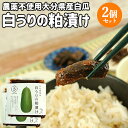 ご飯のお供に 白うりの粕漬け 1枚(250g前後)×2個セット 農薬不使用 大分県産白瓜使用 漬物 漬け物 お惣菜 お茶請け 食品添加物・保存料不使用 さわ農園...