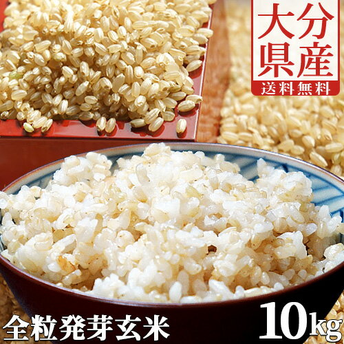 大分県産 無洗米 手作り発芽玄米 10kg(真空パック1kg×10袋) 準無農薬(減農薬) スタリオン日田【送料込】