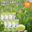 日田製茶園 天領ひた玉緑茶セット(1) (茶葉100g×6個セット)【送料込】