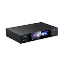 S15 FIIO | フィーオ オーディオストリーマー ヘッドホンアンプ 据え置き アンプ DAC Bluetooth HDMI ネットワーク再生