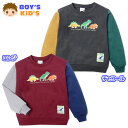 【送料無料】男児 キッズ 裏毛 長袖 トレーナー 恐竜 プリント ワッペン クレイジー配色 子供服 男の子 100cm 110cm 120cm 130cm nw-1106【メール便対応】