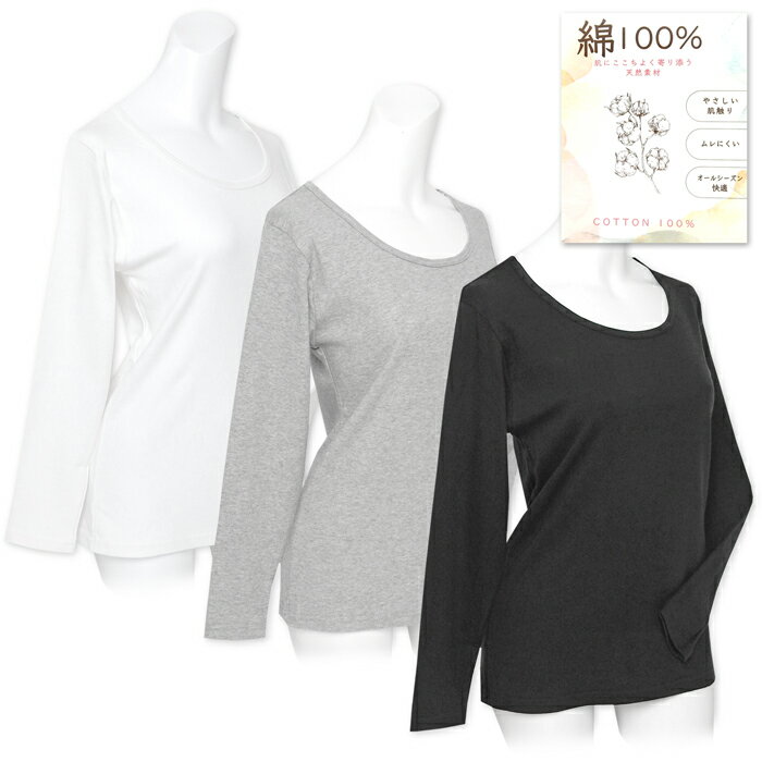 ������̵���ۥ�ǥ����� �ؿ� ȩ�� ���� ����ʡ� Ĺµ T����� ��100�� ���� ȩ��ͥ����ŷ���Ǻ� M L LL k-0014b�ڥ᡼�����б���