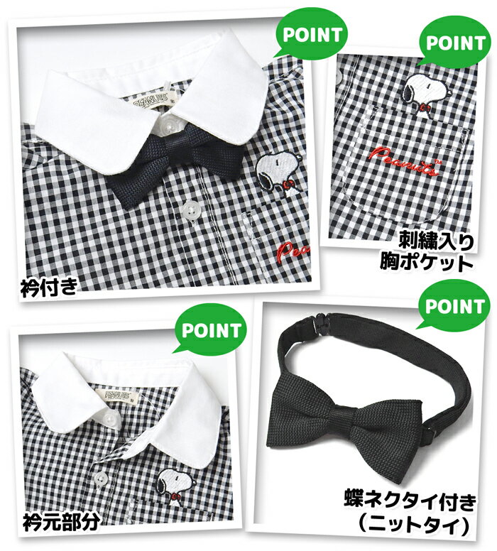 ������̵�����˻� �٥ӡ� ĳ�ͥ������դ� Ⱦµ ����� ���̡��ԡ� �ɽ� ������100�� ���ȥ饤�� �����å� �٥ӡ��� �ˤλ� 80cm 90cm 95cm iw-1063�ڥ᡼�����б���