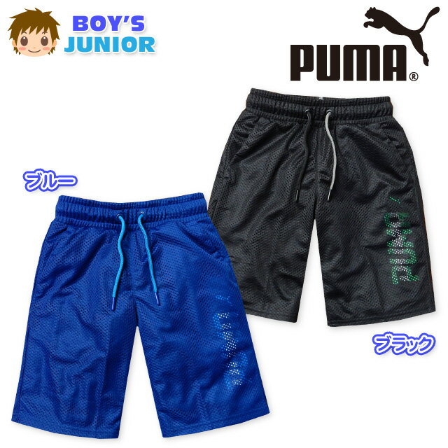 yzq j̎q n[t pc PUMA v[} {g bV M[ Svg EGXgS j WjA 140cm 150cm 160cmy[֑Ήz