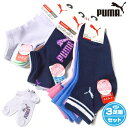 【送料無料】3足組セット 女児 ジュニア ショート丈 ソックス 靴下 PUMA/プーマ 消臭 つま先かかと補強 DRY 甲メッシュ 子供 女の子 21-23cm...