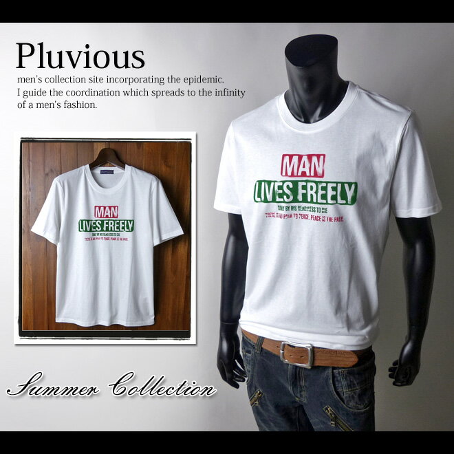 Rakuten - 【送料無料】メンズ Tシャツ 半袖 ロゴプリント かすれプリント クルーネック【メール便対応】