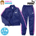 【送料無料】女児 ジュニア PUMA/プーマ 長袖 ジャージ スーツ 上下組 ポリ 裏トリコット ライン ロゴ 子供服 女の子 140cm 150cm 160c...