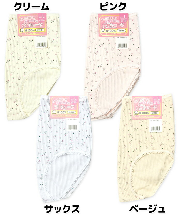 【送料無料】2枚組セット 婦人 レディース シ...の紹介画像2