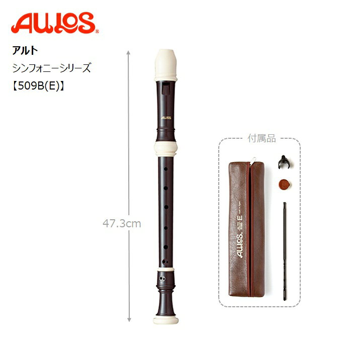 響きを中心に集めて遠くまで音がよく届く設計で他の楽器に埋もれません。ソロ演奏はもちろん、音楽会や発表会でも活躍します。 品番 509B(E) シリーズ シンフォニー 音域 f1 〜 g3 サイズ 47.3cm 素材 ABS樹脂 形状 アーチ型ウィンドウェイ 足部管凹型ベル 付属品 抗菌ソフトケース ワンタッチ指かけ、掃除棒、グリス