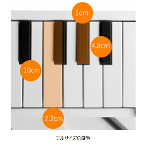 TAHORNG/�ޤꤿ���߼��Żҥԥ��Ρ�����ԥ�49��OP49�ۥ��ۡ���49����