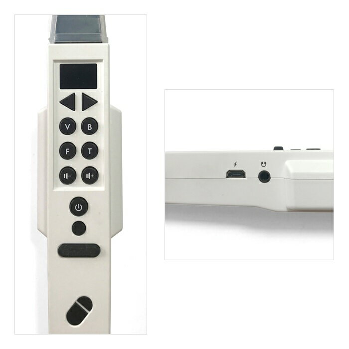 ���ۡ���/����ե����Żҥꥳ������TAHORNG���ǥ����롦������ɡ����󥹥ĥ����