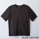 アークテリクス ARC'TERYX メンズ 半袖Tシャツ CORMAC DOWNWORD SS [コーマック ダウンワード Tシャツ] X000006704