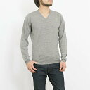 【ポイント3倍】ジョンスメドレー JOHN SMEDLEY メンズ Vネック長袖ニット BLENHEIM V NECK PULLOVER STANDARD FIT【英国】