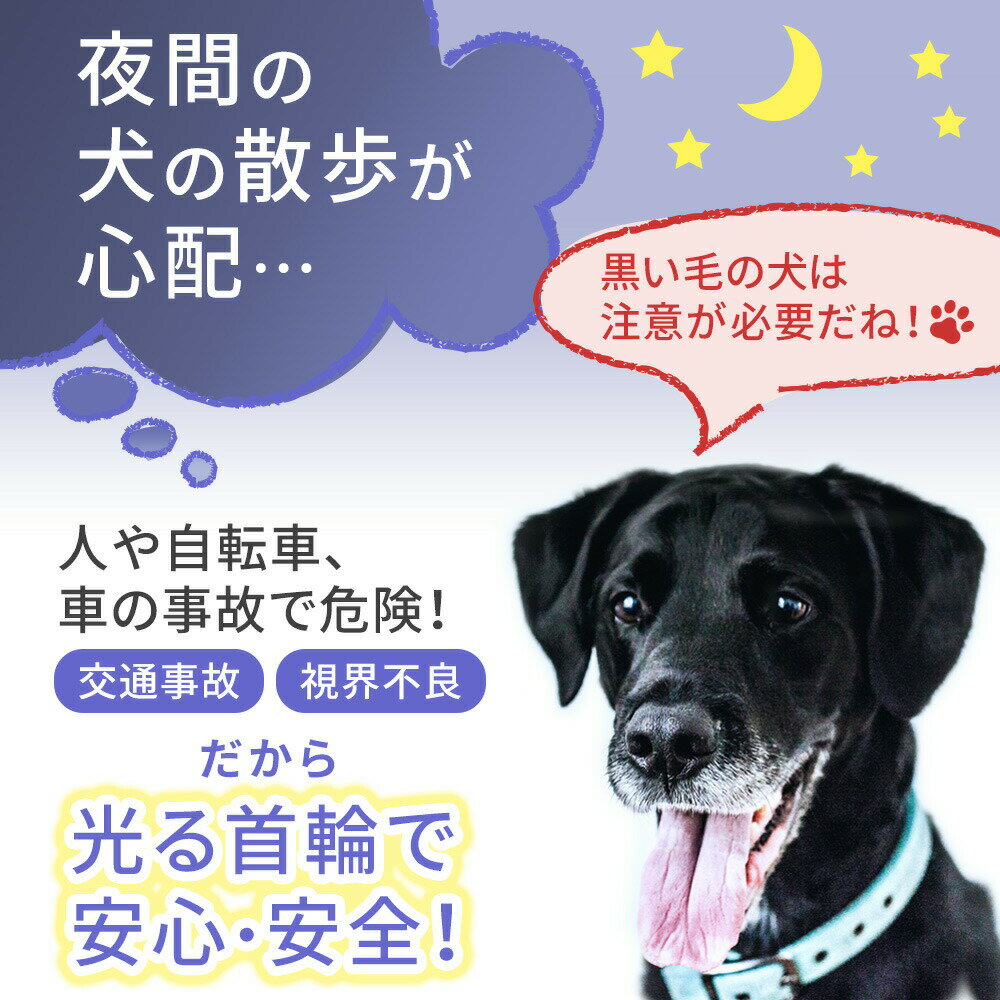 【mitas公式】お散歩ライト LED 充電式 充電 光る首輪 光る ペット ペット首輪 犬 セーフティーライト サイズ調整可能 安全対策 小型犬 中型犬 大型犬 夜間 散歩 首輪 ハーネス リード バッグ 事故防止 事故 自転車 ペットグッズ TN-CLUSB